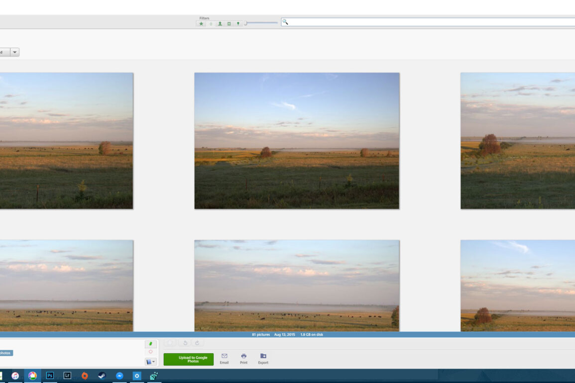 Picasa 800x Thumbnails