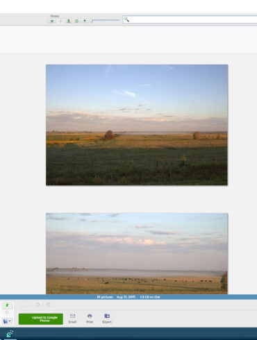 Picasa 800x Thumbnails