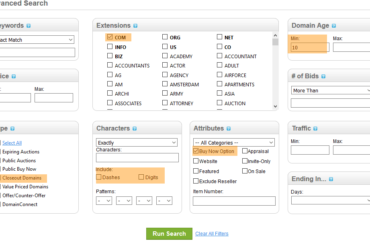 GoDaddy Auctions Search Options