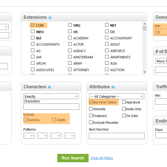 GoDaddy Auctions Search Options