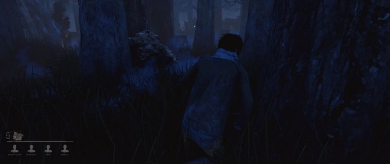 Survivor View distance